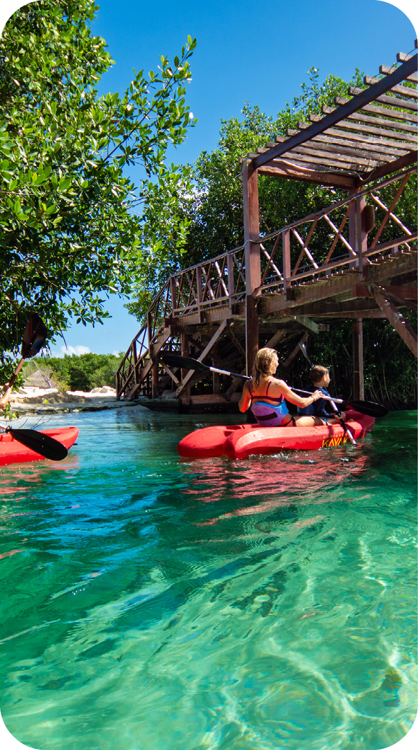 Kayak en manglares