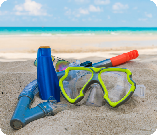 Snorkeling Tour